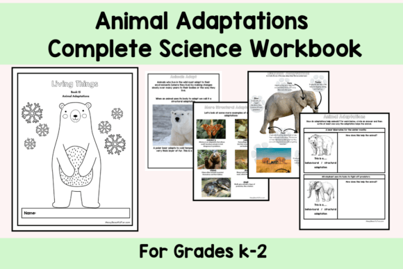 Download Science Animal Adaptation Workbook K-2 - Premium Bundle